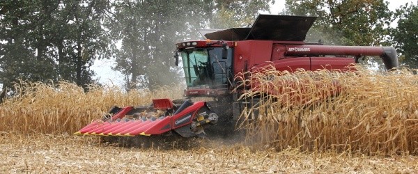 Врожайність кукурудзи у 2022 році становила10 т/га. При цьому ми зменшили внесення добрив на 40 %