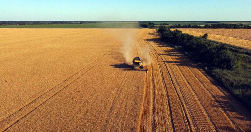 У 2023 році найбільші проблеми, з якими стикалися фермери — це вартість зерна, продаж зерна та логістика