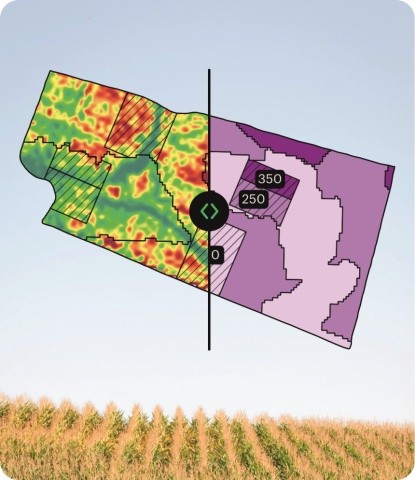 Оцінка результатів врожайності кукурудзи на полі із диференційованим внесенням карбаміду