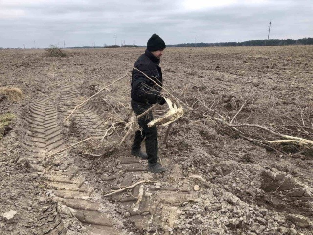 Взагалі Полісся цікаве тим, що традиційні підходи щодо живлення, обробітку ґрунту можуть не дати потрібних результатів саме через особливість ґрунтів.