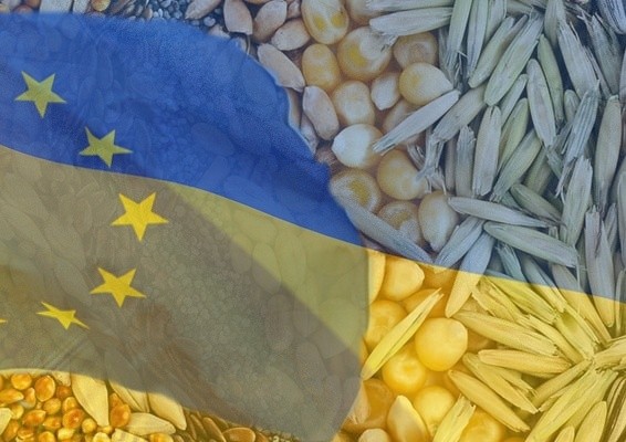 Транспортування українського зерна до ЄС має бути з дотриманням необхідних вимог