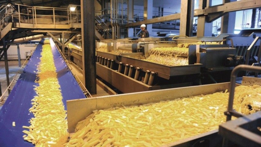 Для виробництва картоплі фрі використовують технічні сорти