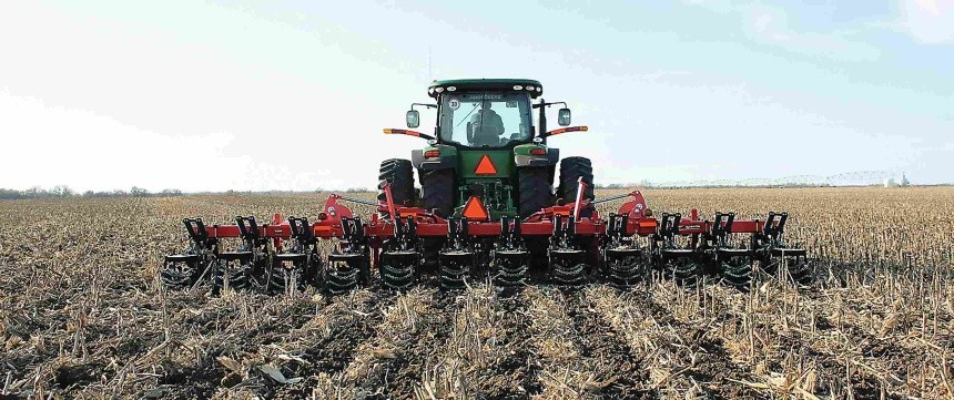 Strip-till поєднує переваги традиційної  та нульової технологій