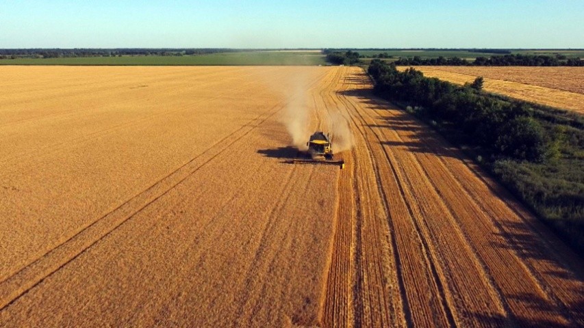 За прогнозами Україна має зібрати врожаю всіх сільськогосподарських культур в межах 70 млн тонн