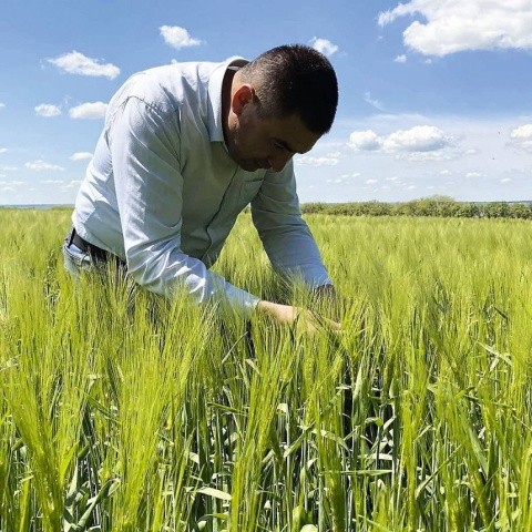 Рослини за технології no-till добре розвиваються