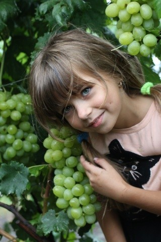 Девочка и виноград