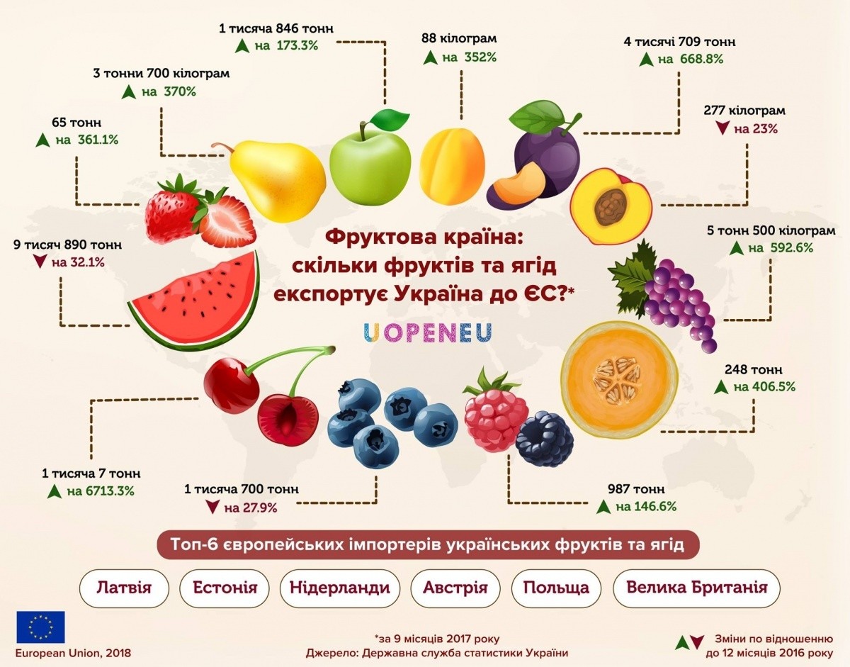 Фруктовый калькулятор. Инфографика фрукты. Инфографика овощи и фрукты. Польза ягод и фруктов инфографика. Польза овощей и фруктов инфографика.