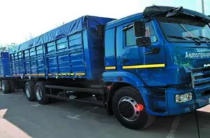 Самоскид-зерновоз МАЗ-6501A8-325-000 із бічним розвантаженням праворуч + причіп МАЗ 856103-010