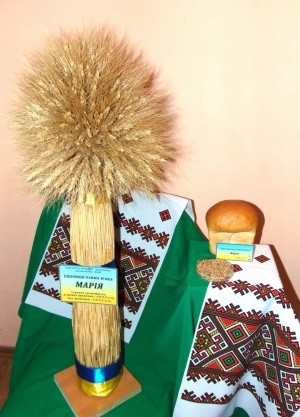 Сорт озимой пшеницы Мария селекции Института орошаемого земледелия НААН Украины