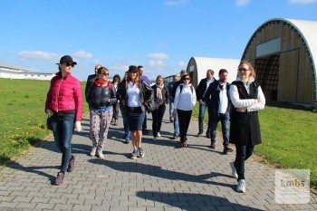 Учасники групи AgriFood MBA-1 kmbs під час українського виїзного модуля обговорили передумови виникнення агріфуд-кластерів у Західній Україні
