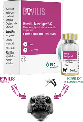 Інтраназальна вакцина BOVILIS® Nasalgen®-C