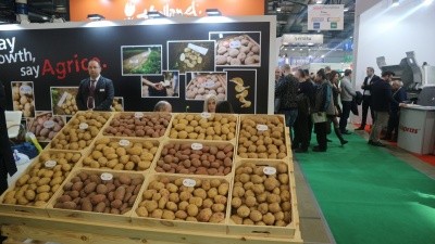 Сорти картоплі селекції голландського кооперативу "Агріко"