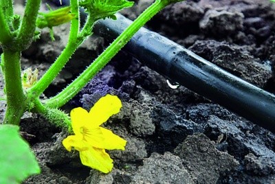 Зрошення — один із методів зволоження ґрунту