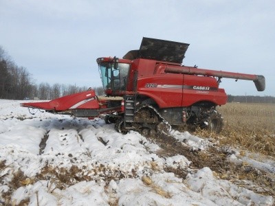 У США у випадку збирання кукурудзи взимку стають не на "лижі", а на гусениці