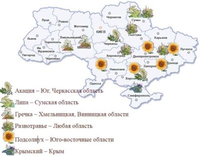 Медовая карта Украины