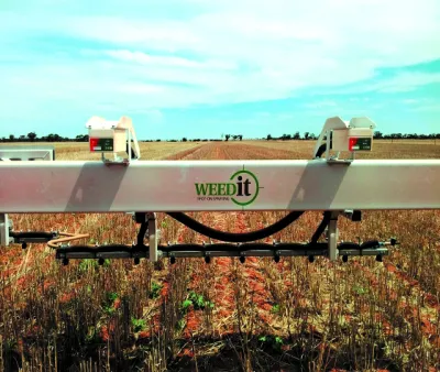 WEEDit