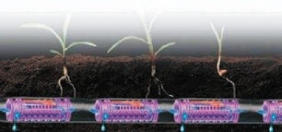 Технологія Root Guard, що захищає крапельниці від проникнення коріння рослин
