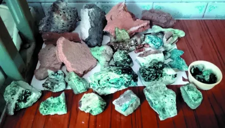 Шлаки, які утворюються в камері згоряння під час спалювання органічних відходів (лузги соняшнику, гранул із соломи)