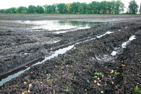 Практично весь азот в орних ґрунтах України перебуває в негідролізованих органічних сполуках, тобто у важкорозчинній і недоступній рослинам формі