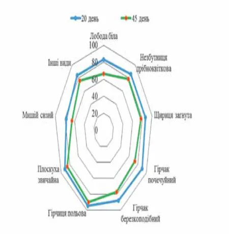 Рис. 4. Ефективність дії гербіциду флурохлорідон, 250 г/л нормою 3,0 л/га