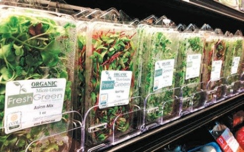 Мікрозелень на полицях закордонних супермаркетів
