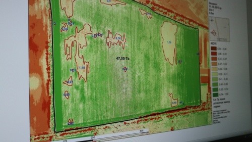 "Лисини" на полі, які видно зі знімку високої чіткості