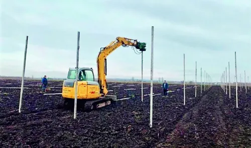 Площу під посадку яблуневого саду необхідно готувати протягом 2–3 років