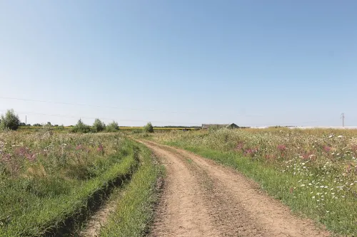 Цілісна екосистема