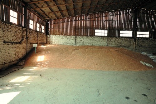 У зерноскладах бажано звільнити приміщення від залишків зерна, провести дезінфекцію препаратами, рекомендованими для знезараження