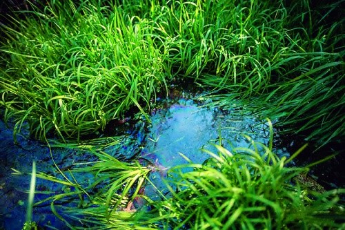 Від глибини залягання ґрунтових вод залежить ефективність їх використання