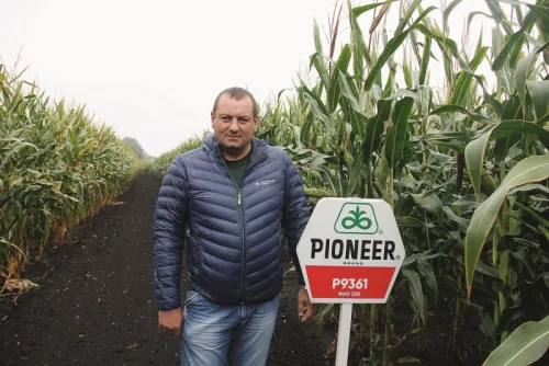 Олександр Кривенький, Торговий агент з продажу насіння Pioneer®