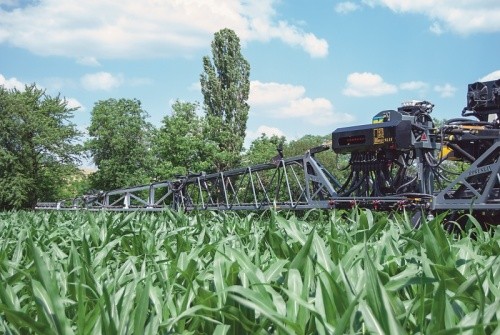 Обробка кукурудзи на пізніх стадіях вегетації — не проблема