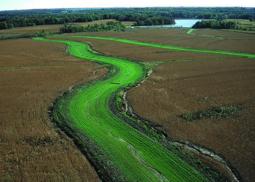 засіяні травою водовідводи на ерозійно небезпечних полях