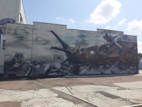 Одна з ознак сучасності  наявність муралу. В СНАУ він теж є
