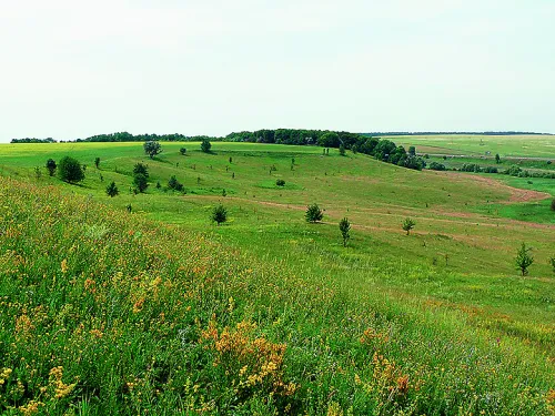 Лісостеп України (450–550 мм опадів за рік)