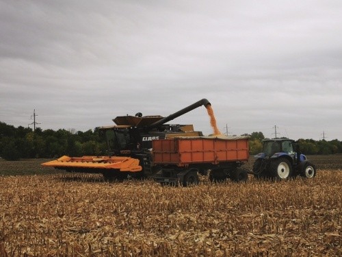 Врожайність кукурудзи в ТОВ «Преображенське» у 2020 році середньому становила 145 ц/га, а на окремих полях коливалася в межах 160–165 ц/га