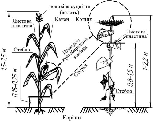 Рис. 1 Основні складові кукурудзи і соняшнику та характеристики НЧУ