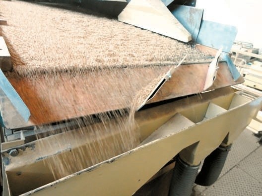 Під час проходження через очисну машину зерно пошкоджується на шнеках, транспортерах і в трієрах