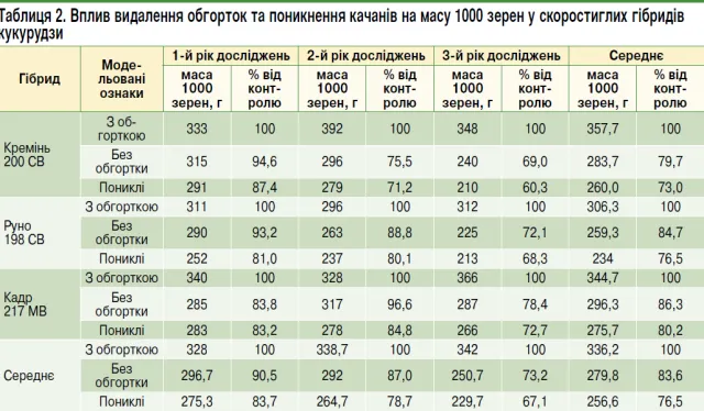 Таблиця 2 - Вплив видалення обгорток та поникнення качанів на масу зерен