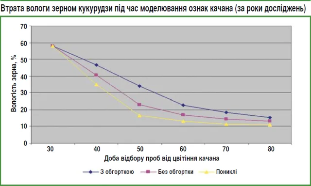 Графік зниження вологості зерна кукурудзи