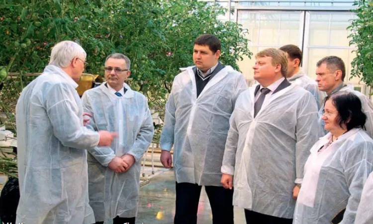 В Уманському тепличному господарстві
