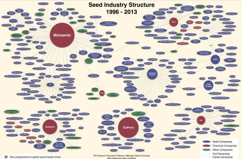 Структура мировой индустрии производства семян