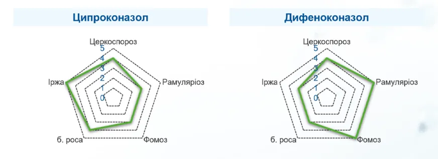 Рис. 4. Порівняння спектра дії й ефективності ципроконазолу (ліворуч) та дифеноконазолу (праворуч) на цукрових буряках