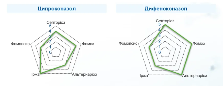 Рис. 3. Порівняння спектра дії й ефективності ципроконазолу (ліворуч) та дифеноконазолу (праворуч) на соняшнику